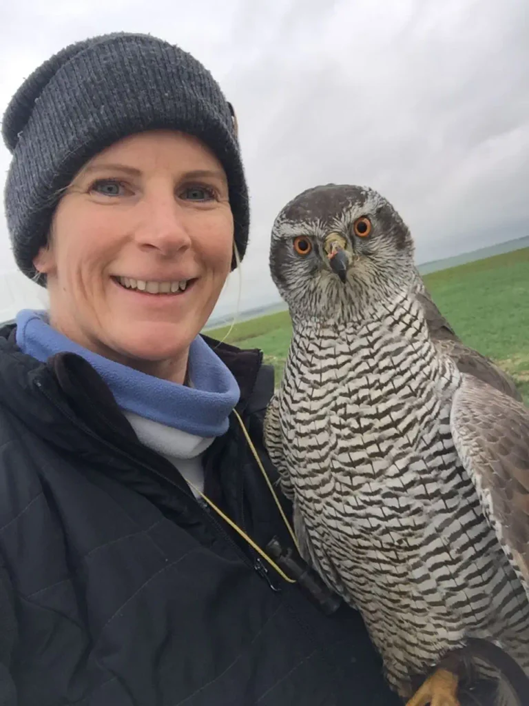 a women with an european goshawk facing the camera
