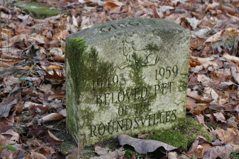 a grave headstone for a dog, with the inscription 1949 - 1959 beloved pet of the roundsvilles