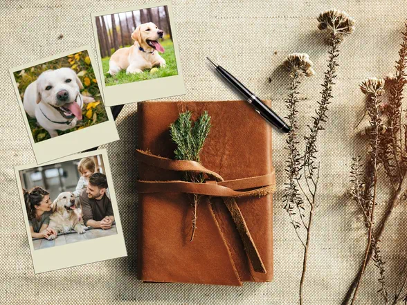 a pet loss journal with a photo of a pet