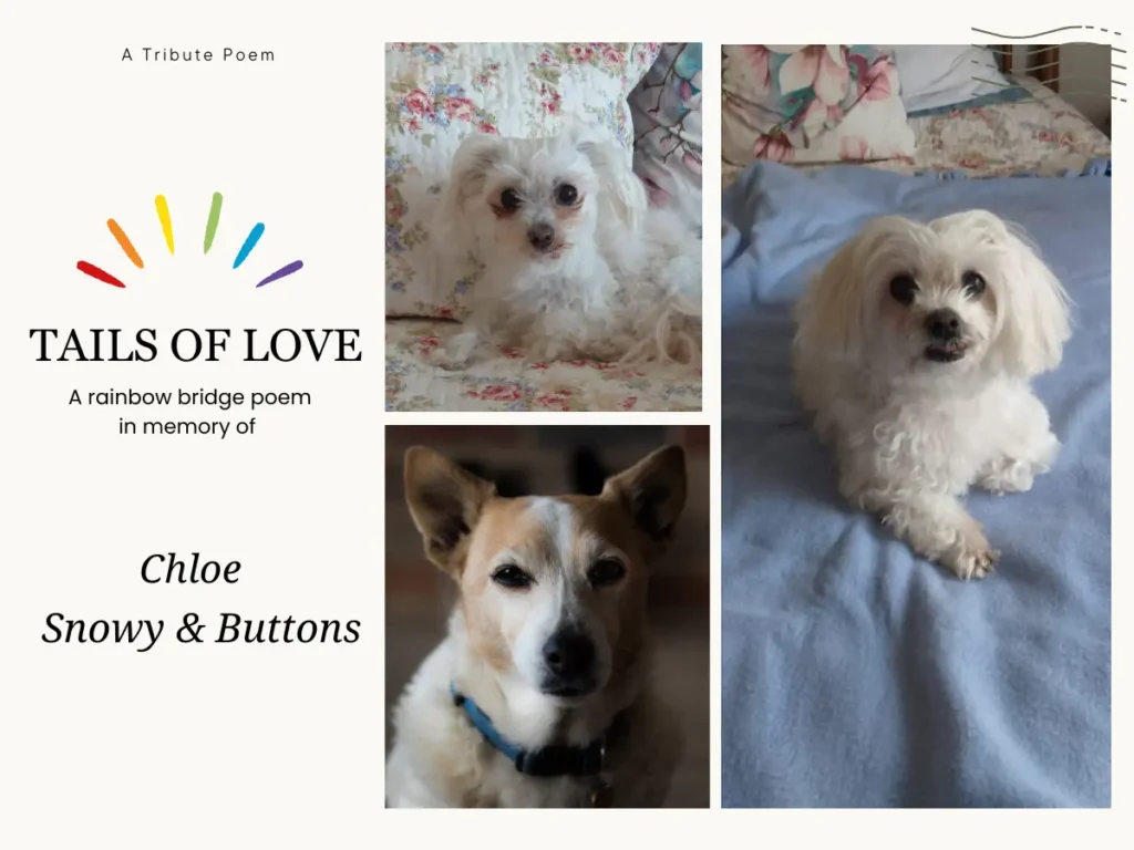Tails of love, three dogs in a tribute poem